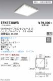 EFK9738WB