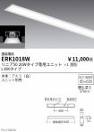 ERK1018W