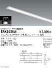 ERK1036W