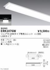 ERK1076W