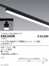 ERK1089B