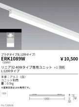 ERK1089W