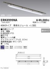 ERK8999NA