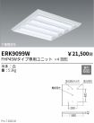 ERK9099W