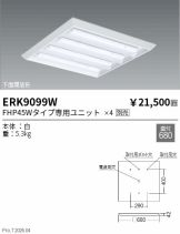 ERK9099W