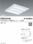ERK9101W