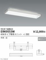 ERK9553W