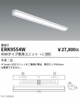 ERK9554W