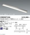 ERK9871SA