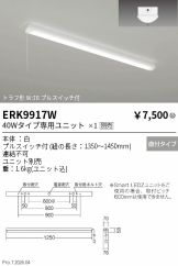 ERK9917W