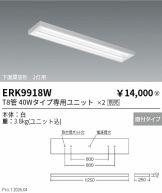 ERK9918W