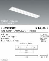 ERK9919W