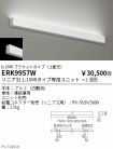 ERK9957W