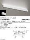 ERK9959W