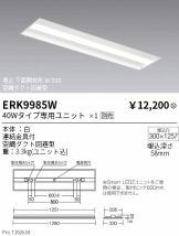 ERK9985W