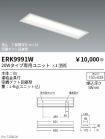 ERK9991W