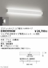 ERK9996W