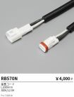 RB570N