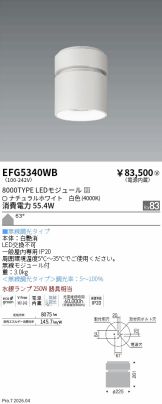 EFG5340WB