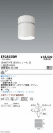EFG5655W