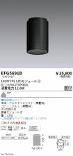 EFG5691B