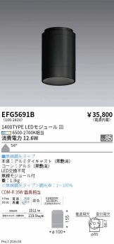 EFG5691B