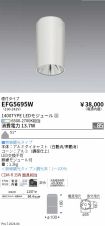 EFG5695W