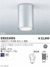 ERG5349S