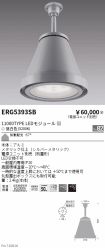 ERG5393SB