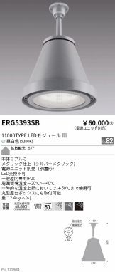 ERG5393SB