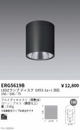 ERG5619B