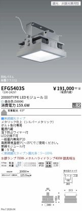 EFG5403S