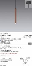 ERP7518DB