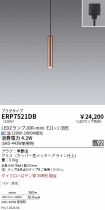 ERP7521DB