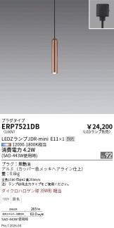 ERP7521DB