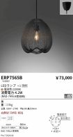 ERP7565B