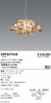 XRP6079UB