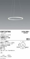 ERP7397WA