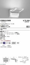 ERB6010WB
