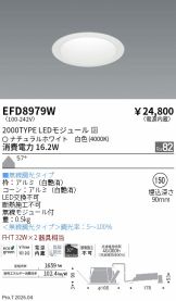 EFD8979W