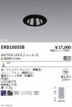 ERD10055B