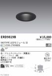 ERD9819B