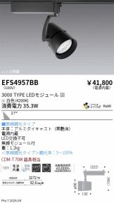 EFS4957BB