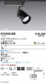 EFS4961BB