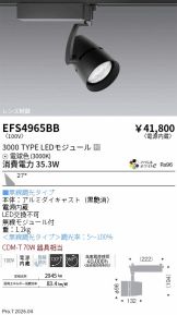 EFS4965BB