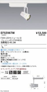 EFS5987W