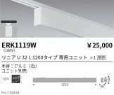 ERK1119W