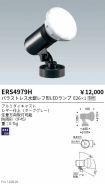 ERS4979H