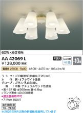 AA42069L