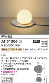 AT51306
